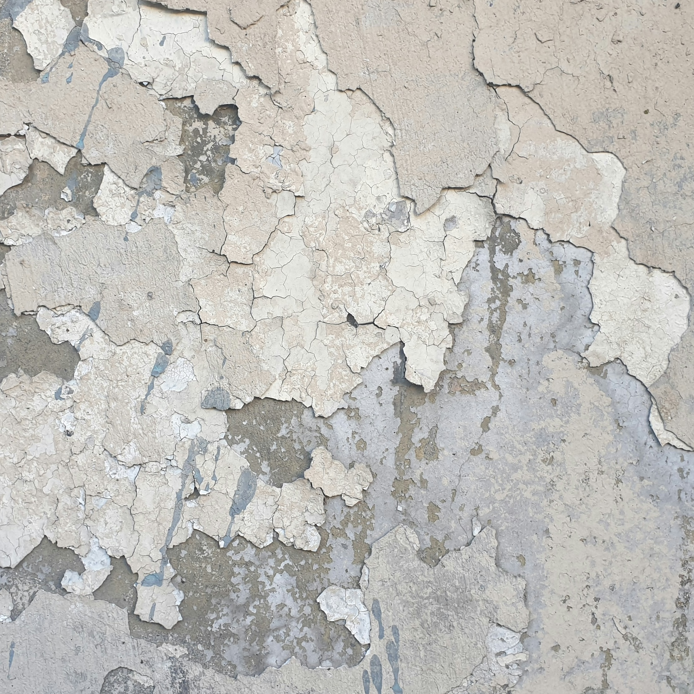 photo of lead paint peeling off wall